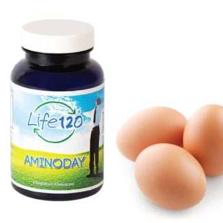 Aminoday